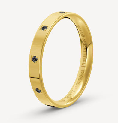 10 karaats geel gouden ring van 2.13 grsm en 3 mm breed. Bezet met 9 briljant geslepen diamanten met een totaalgewicht van 0.09crt Kleur: Zwart RingID: BMALDUCEJZ30
